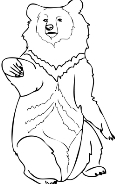 Asia Black Bear coloring page | Free Printable Coloring Pages